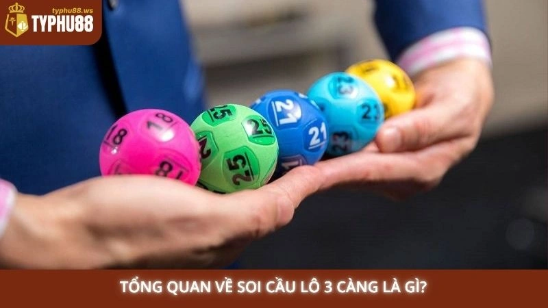 Tổng quan về soi cầu lô 3 càng là gì?